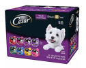 Cesar Canine Cuisine Wet Dog Food, 8 Flavor Variety Pack Classic Loaf in Sauce (3.5 oz., 40 ct.)