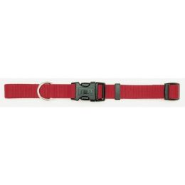 Coastal Adjustable Nylon Dog Collar with Plastic Buckle Red 3/8 in x 8-12 in