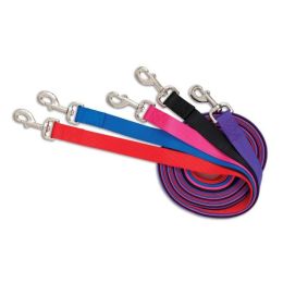 Aspen Core Nylon Dog Leash Red 5/8 in x 5 ft Medium