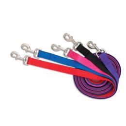 Aspen Core Nylon Dog Leash Royal Blue 5/8 in x 5 ft Medium